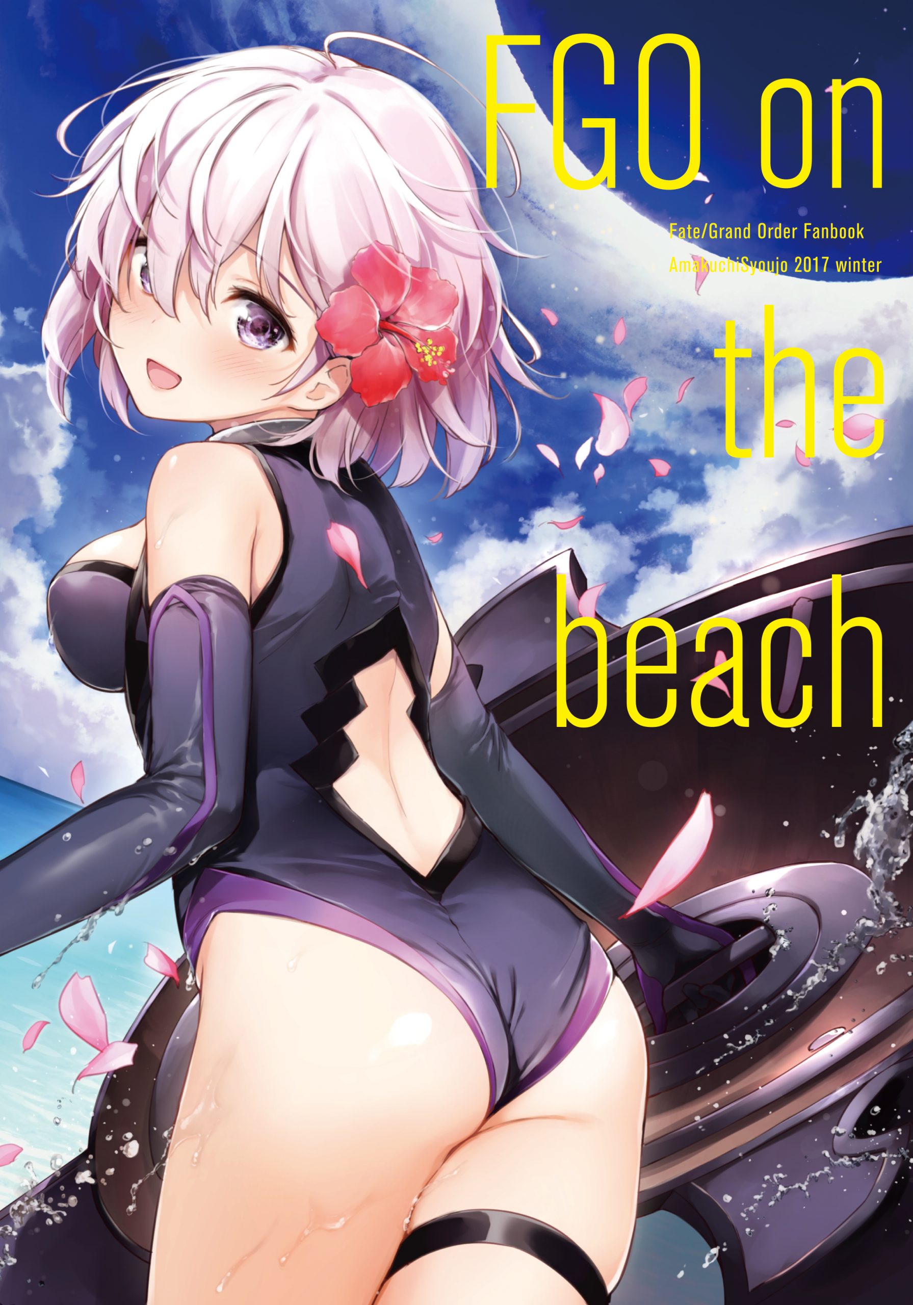 FGO on the beach